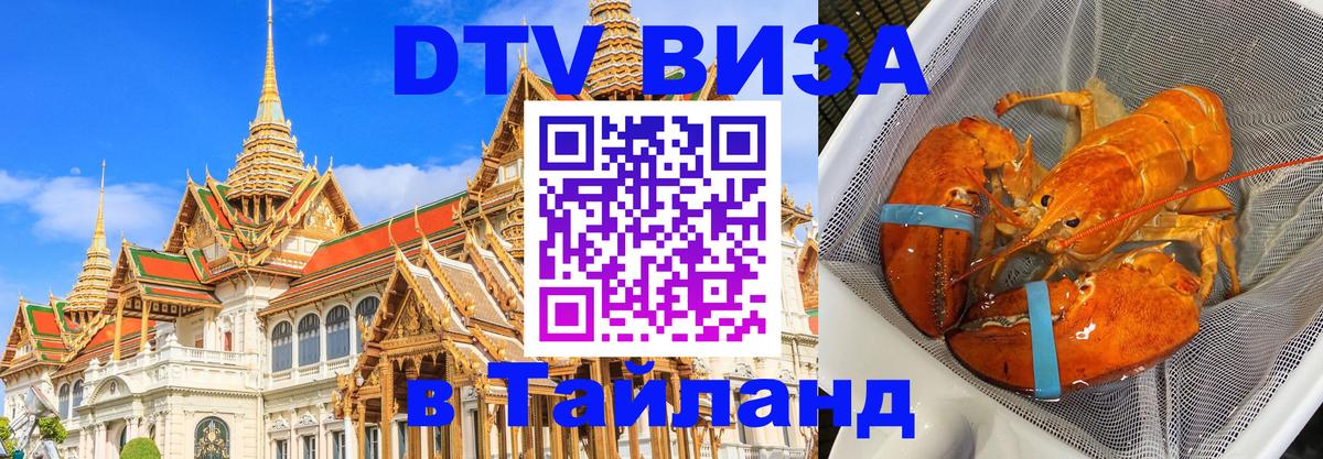 Оформление DTV визы под ключ: стоимость и тарифы, только загранпаспорт - Кисловодск  21.11.2025 